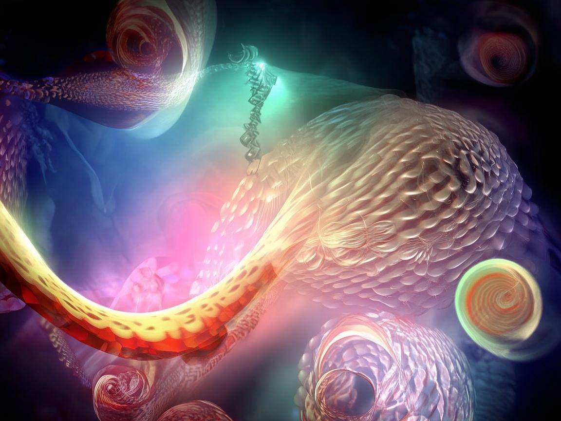 奏响数学物理交织的乐章